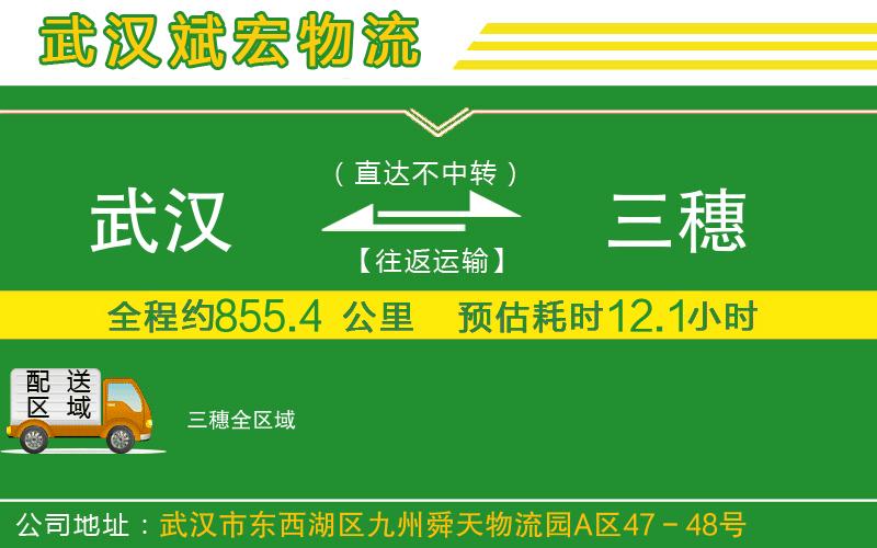 武漢到三穗物流公司
