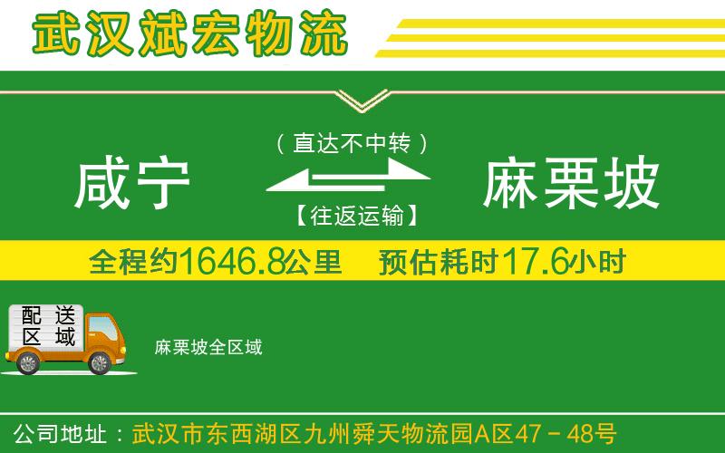 咸寧到麻栗坡物流公司 咸寧到麻栗坡物流公司