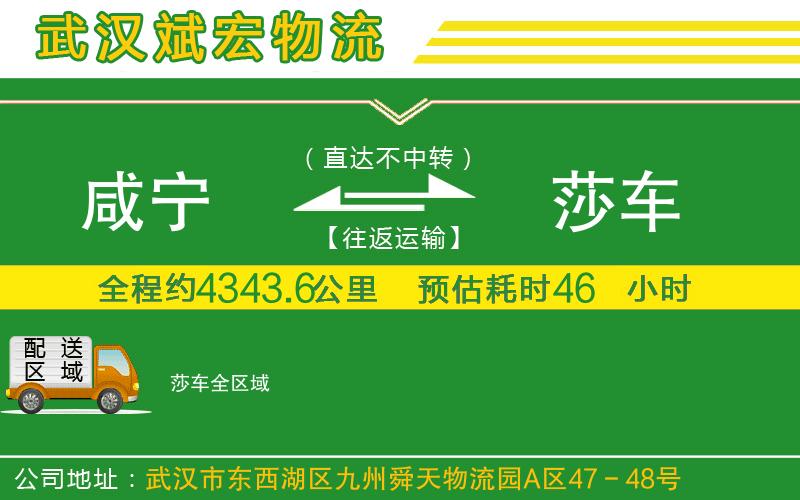 咸寧到莎車(chē)物流公司 咸寧到莎車(chē)物流公司