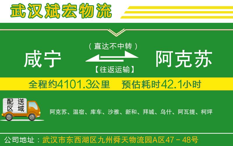 咸寧到阿克蘇物流公司 咸寧到阿克蘇物流公司
