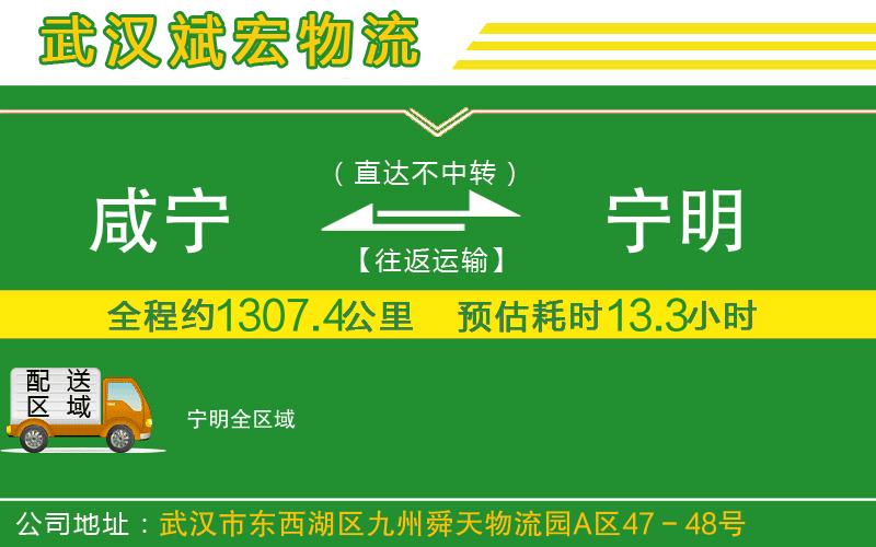 咸寧到寧明物流公司 咸寧到寧明物流公司
