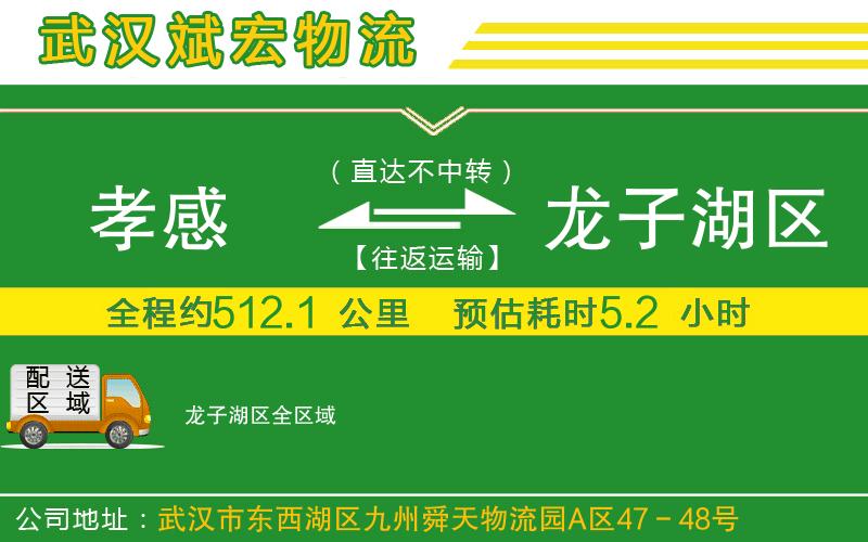 孝感到龍子湖區(qū)物流公司