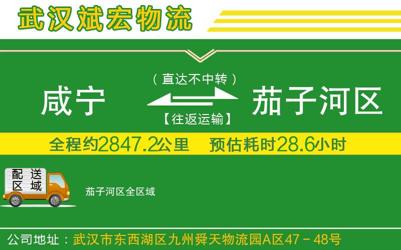 咸寧到茄子河區(qū)物流公司 咸寧到茄子河區(qū)物流公司